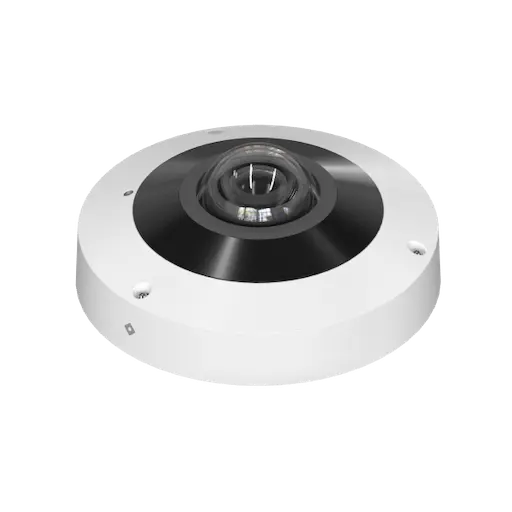 fisheye camera model