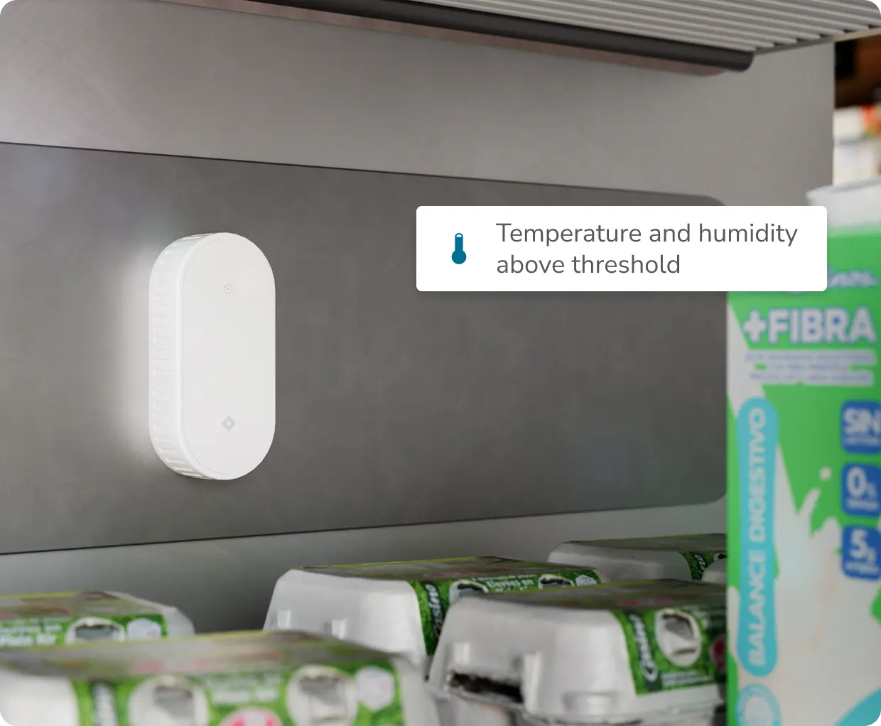 IoT sensor E15 in cold storage, using IoT temperature and humidity sensors for environmental monitoring and predictive maintenance.