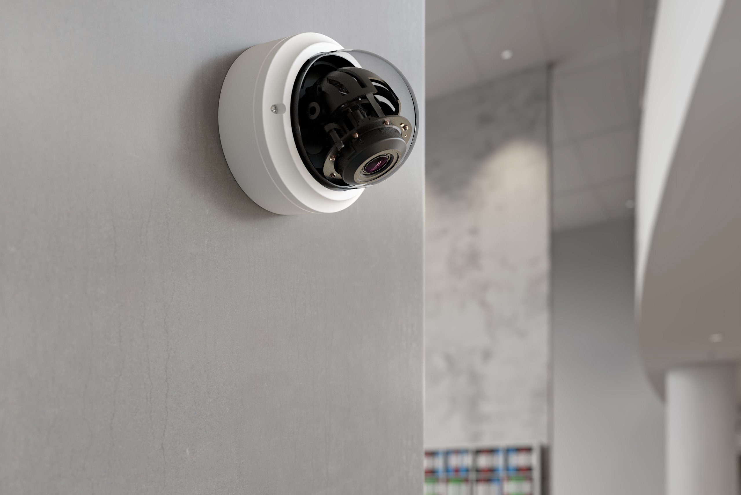 typically mounted bullet or dome cameras