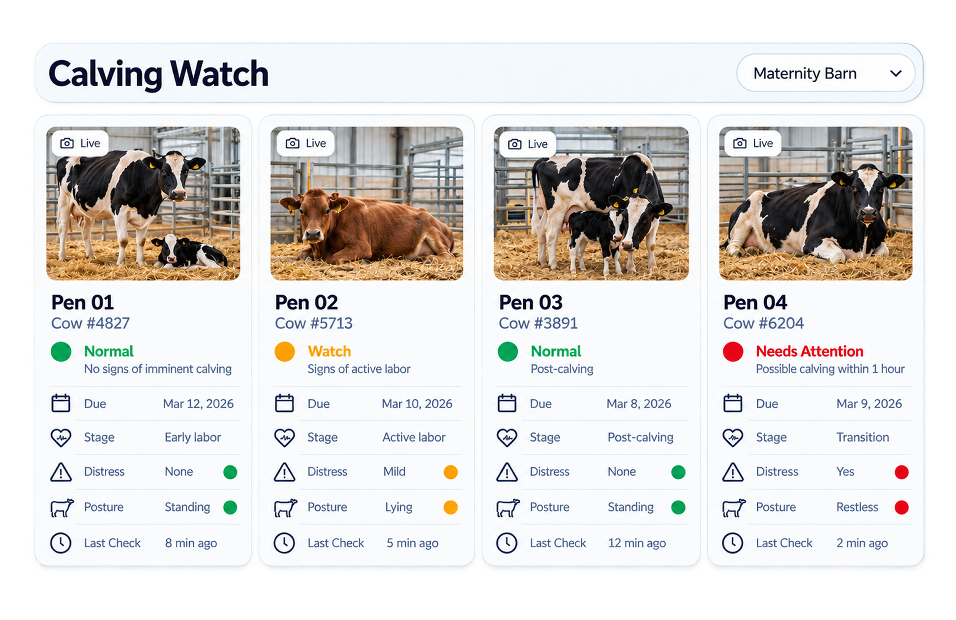 Smart Detection and Predictive Alerts Rhombus Studio Dashboards